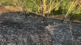 Edirne'de Tunca Nehri Kenarındaki Yangın Kontrol Altına Alındı