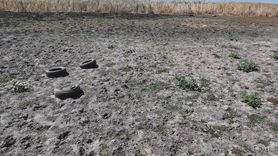 Edirne'deki Yağcılı Göleti Kurudu, Kuraklık Hayvancılığı Tehdit Ediyor