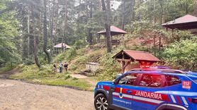 Erzurum'da Ormanlık Alanda Mangal Yakanlara Ceza