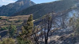 Erzurum'daki Örtü Yangını Kontrol Altına Alındı