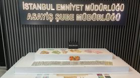 Esenyurt'ta 5 Milyon Liralık Hırsızlık: Bakıcı Tutuklandı