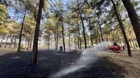 Fethiye'deki Orman Yangını Kontrol Altına Alındı