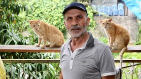 Giresun'da Kedilere Umut Oluyor: Temel Sezer'in Hikayesi