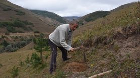 Gümüşhane'de 40 Yılda 50 Bin Fidan Diken Emekli Din Görevlisi