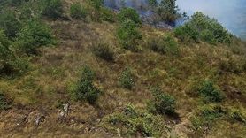 Gümüşhane'de Yangın Kontrol Altına Alındı