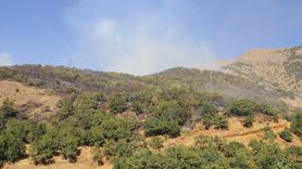 Hakkari'deki Orman Yangını Kontrol Altında