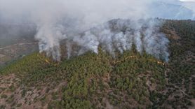Hatay'daki Orman Yangınına Müdahale Devam Ediyor