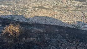 Hatay'daki Orman Yangını Kontrol Altına Alındı