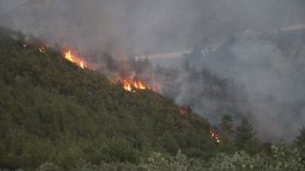Hatay'daki Orman Yangını Kontrol Altında