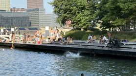 Hollanda'da Sıcak Hava Uyarısı ve Önlemler