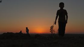 İdlib'de Kayıplar Anısına İncir Fidanları Dikildi