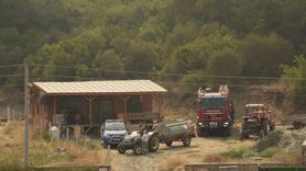 İzmir'de Tarım Yangını Ormana Sıçradı