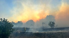 İzmir Dikili'deki Yangına Müdahale Devam Ediyor
