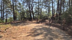 Jandarma Ekipleri Orman Yangınlarına Karşı Teyakkuzda