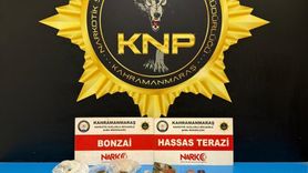 Kahramanmaraş'ta Uyuşturucu Operasyonu: 2 Tutuklama