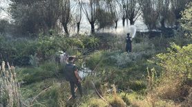 Karabük'te Anız Yangını Kontrol Altına Alındı