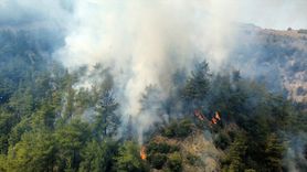 Karabük'te Orman Yangını Kontrol Altına Alındı