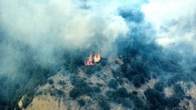 Karabük'te Orman Yangınına Müdahale Başlatıldı