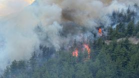 Karabük'te Yeniden Orman Yangını