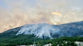 Karabük'teki Orman Yangını Kontrol Altına Alınıyor