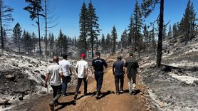 Karaman Valisi Çiçekli, Orman Yangınlarını İnceledi