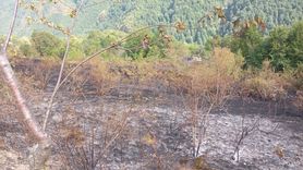 Kastamonu'da Yangın Kontrol Altına Alındı