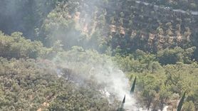 Kazdağları Milli Parkı'ndaki Orman Yangını Kontrol Altına Alındı