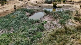 Kırklareli'deki Sazlık Göleti Kuraklık Tehditinde