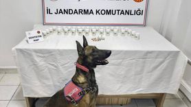 Kırşehir'de Uyuşturucu Operasyonu: 1823 Sentetik Hap Ele Geçirildi