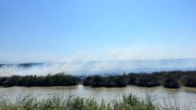 Kızılırmak Deltası Kuş Cenneti'nde Yangın Felaketi