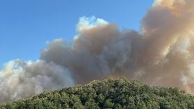 Kocaeli'de Orman Yangını: 3 Mahalle Tahliye Edildi