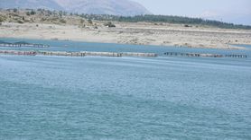 Malatya'da Alabalık Üretimi Artıyor