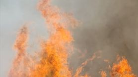 Malatya'daki Orman Yangınına Müdahale Devam Ediyor