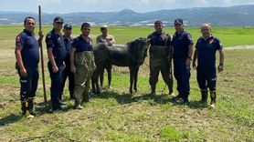 Manisa'da Bataklığa Saplanan Kişi Kurtarıldı