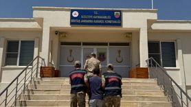 Mardin'de Hayvan Kısırlaştırma Paylaşımı Nedeniyle Gözaltı