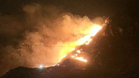 Marmara Adası'nda Orman Yangını Kontrol Altına Alındı