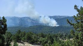Mersin'deki Orman Yangını Kontrol Altına Alındı