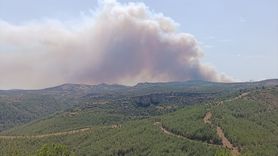 Mersin'de Orman Yangını: Üç Mahalle Tahliye Edildi