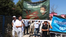 Mudurnu Çayı'ndaki Kirlilik Sorunu: Firmanın Faaliyetleri Durduruldu