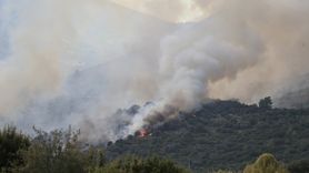 Muğla'daki Orman Yangını Kontrol Altına Alındı