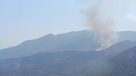 Muğla Seydikemer'de Orman Yangını Çıktı
