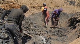 Muş'ta Mangal Kömürü Üretimi: Emeğin ve Sıcaklığın Mücadelesi