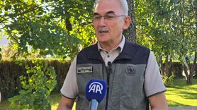 Orman Yangınlarıyla Mücadelede Farkındalık ve Sorumluluk