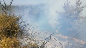 Osmaniye'de Orman Yangını Kontrol Altına Alındı