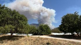 Pamukkale'de Orman Yangını Kontrol Altına Alınmaya Çalışılıyor