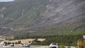 Pamukkale Orman Yangını Kontrol Altına Alındı