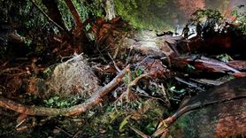 Rize'de Heyelan Sonrası Yol Yeniden Ulaşıma Açıldı