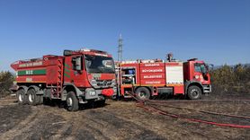 Sakarya'da Yerleşim Alanı Yakınında Orman Yangını Kontrol Altına Alındı