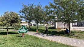 Şanlıurfa'da Kavurucu Sıcaklık 55 Dereceyi Buldu