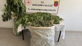 Şanlıurfa'da Uyuşturucu Operasyonu: 3 Gözaltı